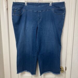 Belle Kim Gravel Blue Denim Pull-on Jeans Women’s Plus-Size 32W Crop Wide Leg